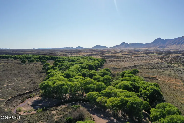 Not my picture or the exact location. Aerial to show trees on San Pedro in different season.