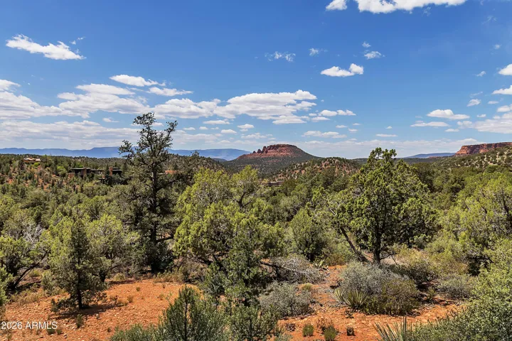2.16 acres of lightly wooded natural vegetation left untouched to enjoy the change of seasons the wildlife & if your a bird watcher the abundance of birds.