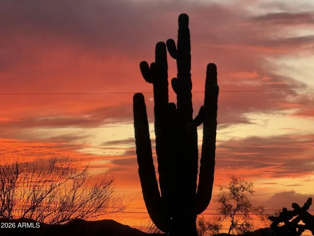 Wake up to gorgeous sunrises!