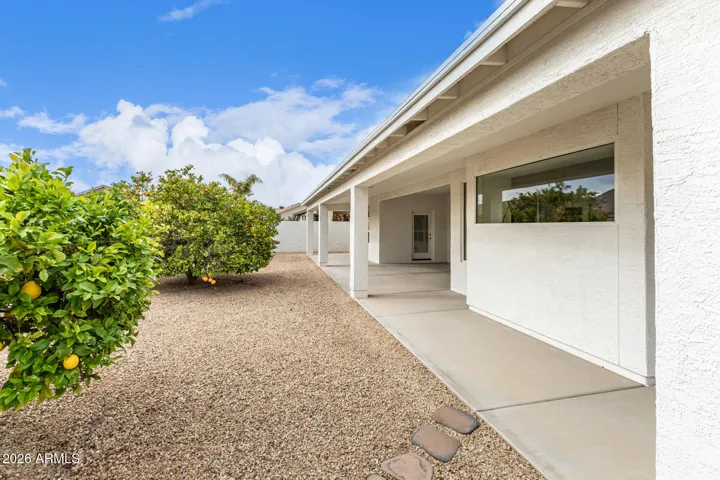 low maintenance landscaping