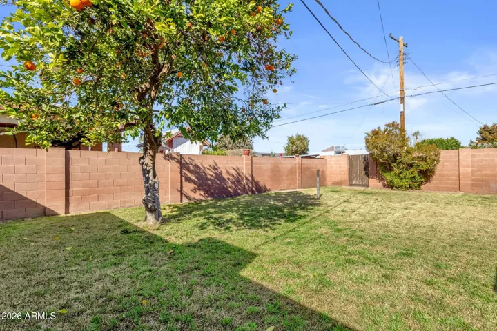 Beautiful grassy area with citrus trees