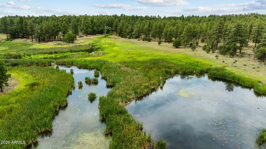 Big Springs