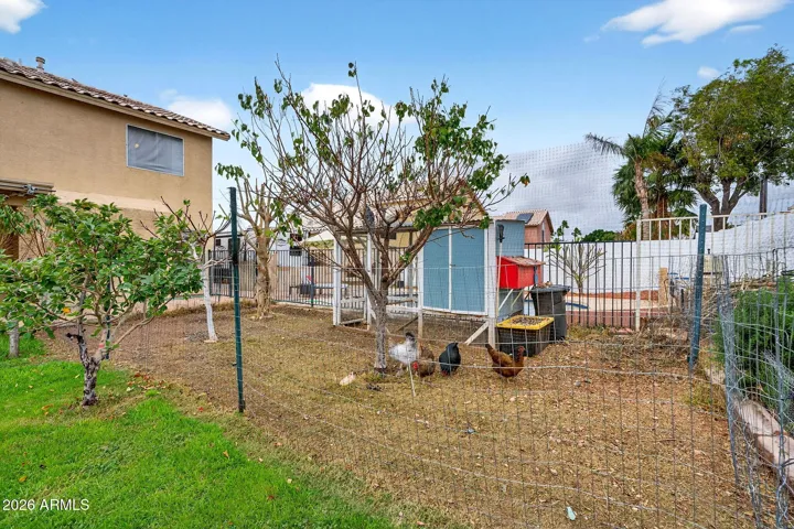 Chicken coop and citrus/fruit forrest