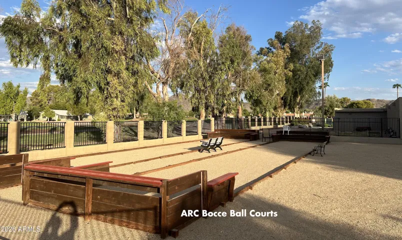 Community boccee ball