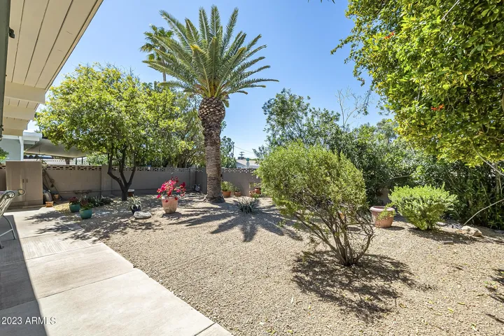 Spacious low maintenance backyard with mature plants