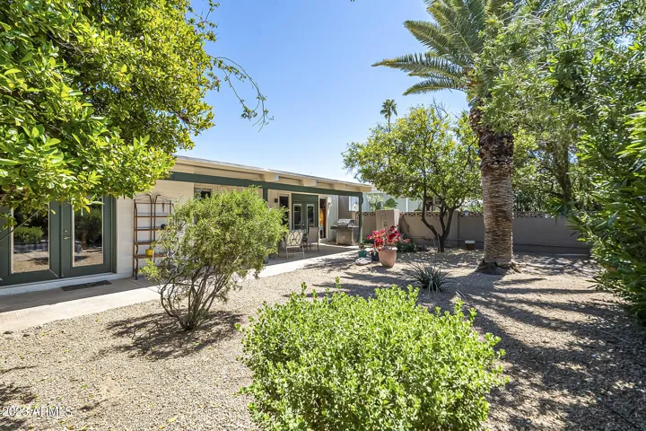 Spacious low maintenance backyard with mature plants