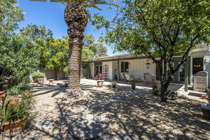 Spacious low maintenance backyard with mature plants