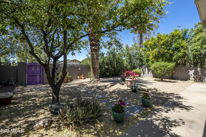 Spacious low maintenance backyard with mature plants