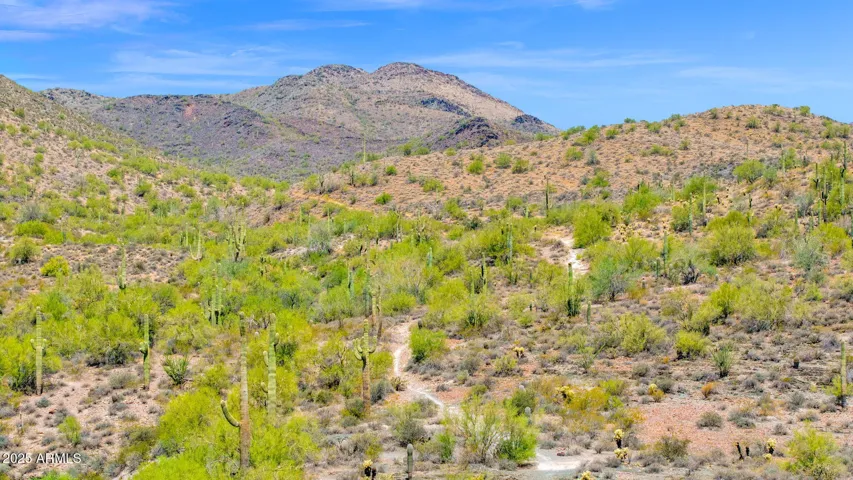 Outdoor Enthusiasts Have Direct Access to Miles of Non Motorized Trails For Hiking, Biking, and Trail Riding Right From Their Doorstep