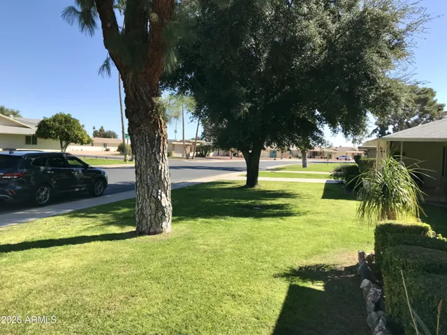 Front Yard