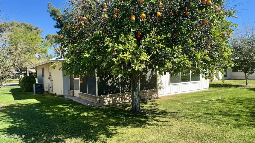 View from rear with edible citrus