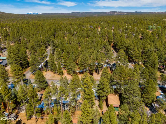 Overhead view of 115 Lodge surrounded by trees in the lush area of Munds Park!