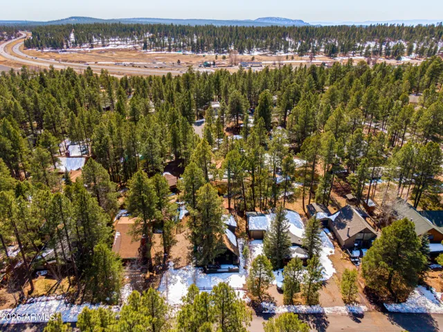 Overhead view of 115 Lodge surrounded by trees in the lush area of Munds Park!