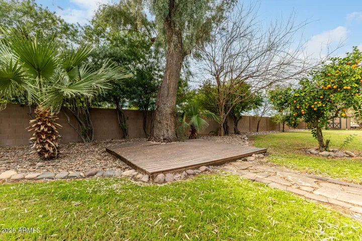 Stage Area in Back Yard