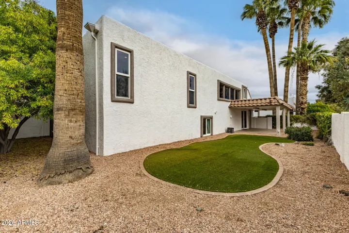 Large Backyard