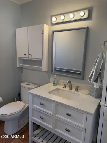 Main bath with new vanity, mirror, light fixture, faucet, medicine cabinet