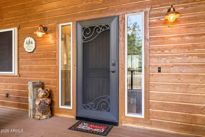 Screen security door with cameras