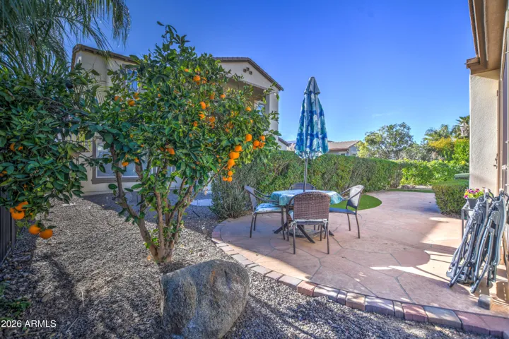 Back Patio