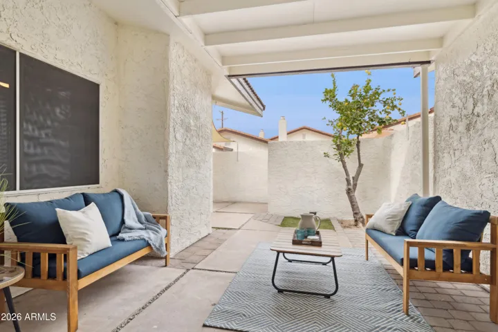 Back Patio Area