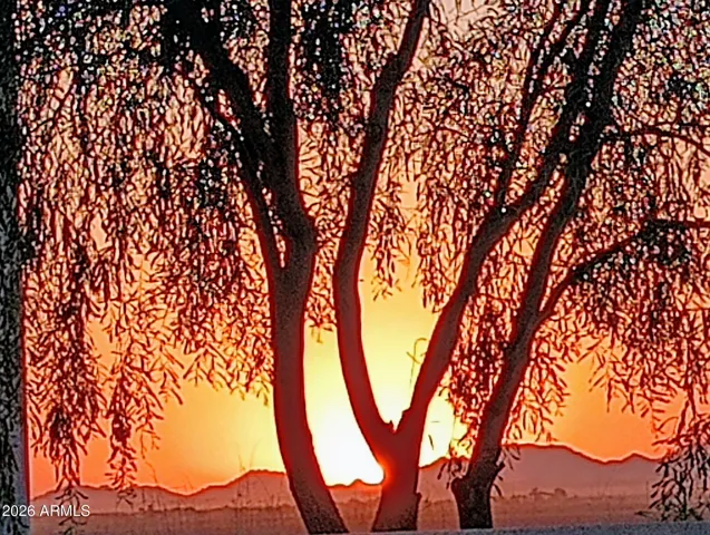 VIEW FROM THE BACKYARD IN THE MORNING