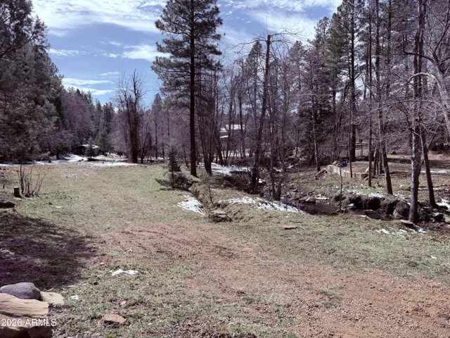 Wide open spaces to run and play. Wintertime in the pasture