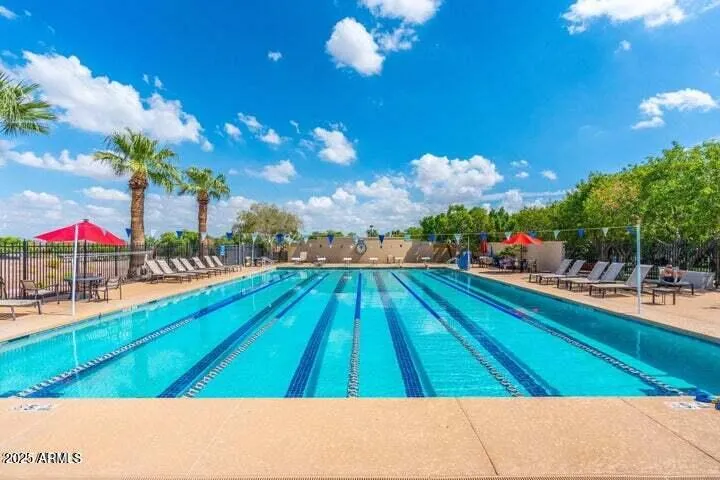 Lap Pools