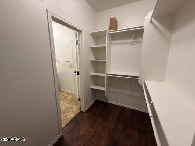 Primary closet