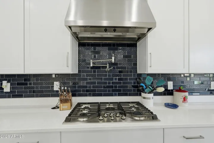 Designer Vent Hood and Pot filler