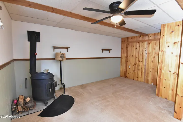Wood Burning stove in basement