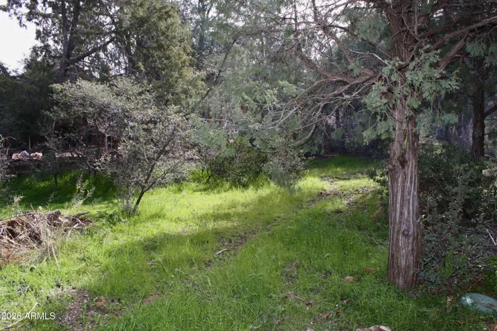 Watch the wildlife walk through the Greenbelt