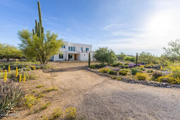 Scenic drive-in framed by mature desert landscaping and vibrant native blooms.