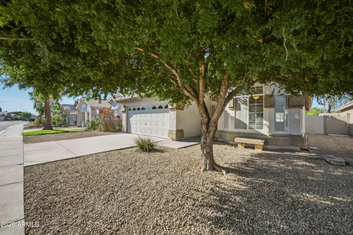 Lush shade tree provides great curb appeal!