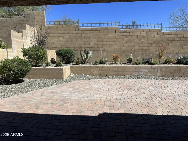 Back yard from patio