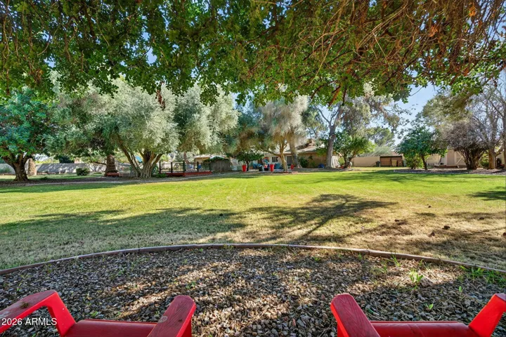 Nothing like sitting beneath one of two mature Carob trees, enjoying the shade and the view.