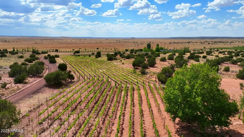 Producing Pinot Noir, Petit Verdot, Barbera, Tempranillo, Pino Gris, Riesling, Sauvignon Blanc, Viognier