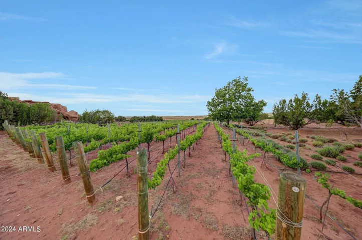 all irrigated