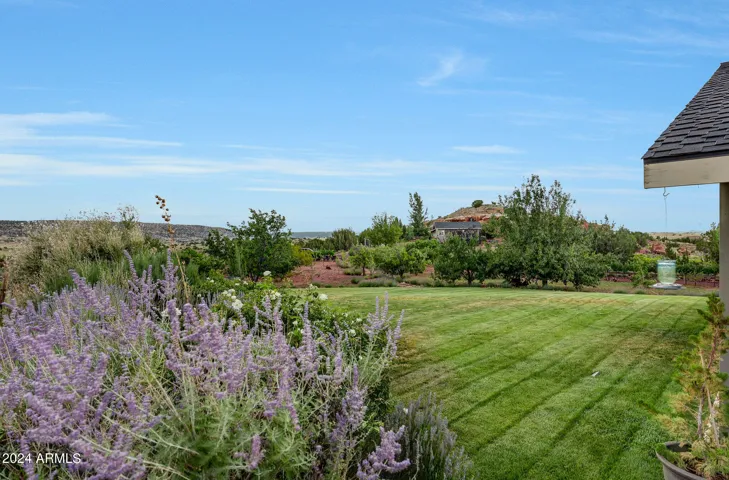 over 35,000 lavender plants
