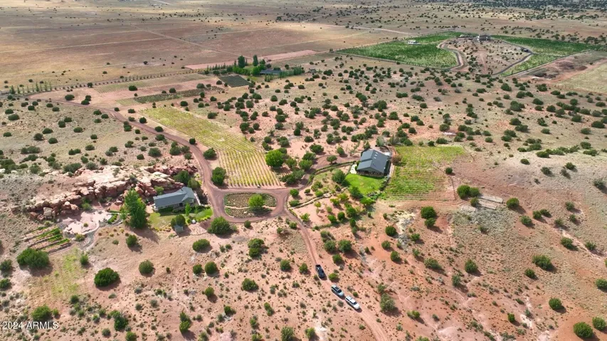 Bluffs, over 60 fruit trees, lavender and vines! oh my!