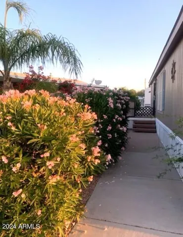 Front Walkway