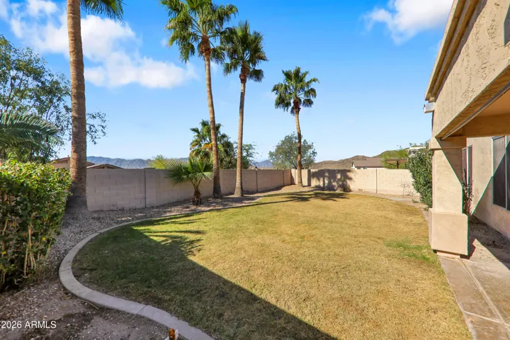 Beautiful Back Yard