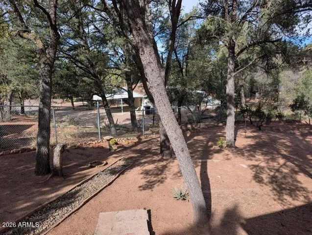 Large back yard !