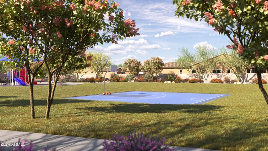 Community basketball court