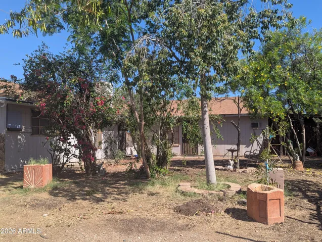 MATURE TREES