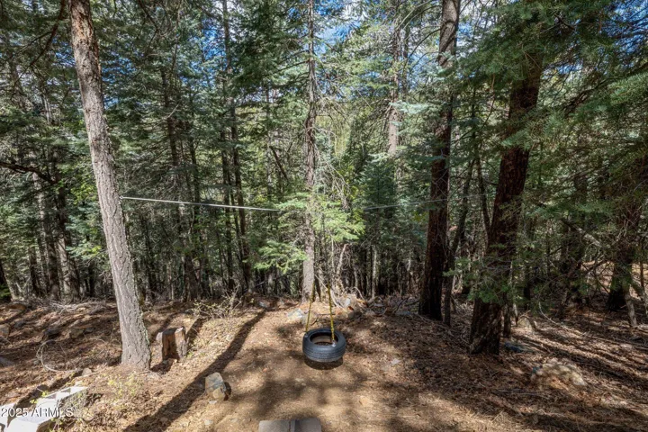 Tireswing