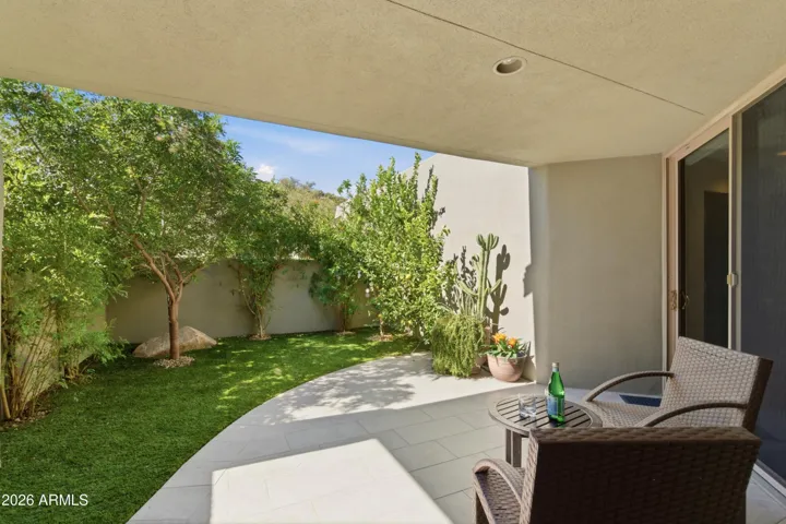 SIDE PATIO WITH LEMON TREE