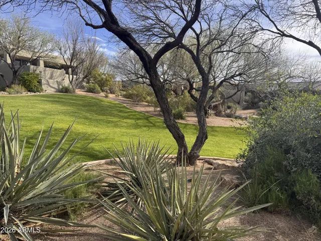 VIEW PARK LIKE SETTING