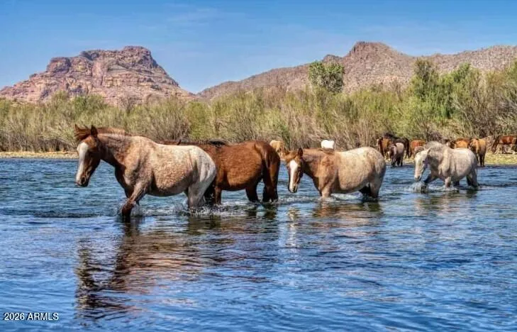 Less than 10 minutes from the Tonto National Forest. One of Arizona's treasures!