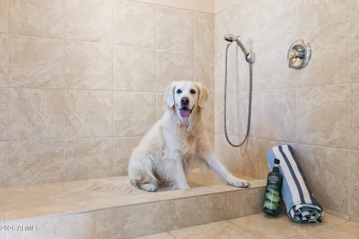 Dedicated pet shower for your fur baby!