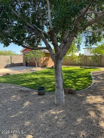 Backyard