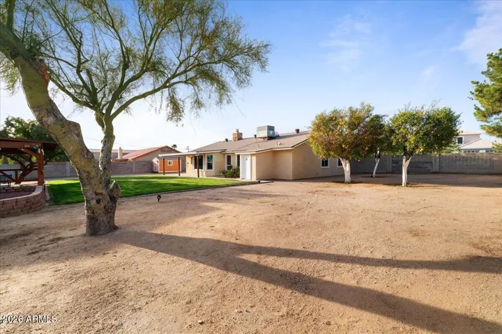 Large Side Yard with Citrus Trees